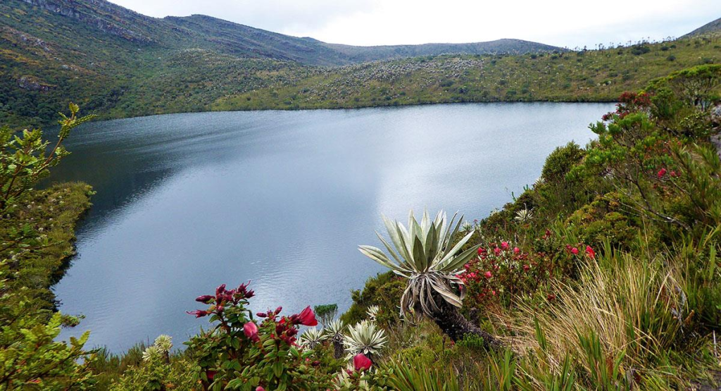 Parque Nacional Natural Chingaza,  alquiler carro bogota